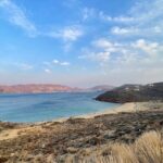 Swim Sip And Savor 4 Beaches in 6 Hours Private Mykonos Tour - What Travelers Say