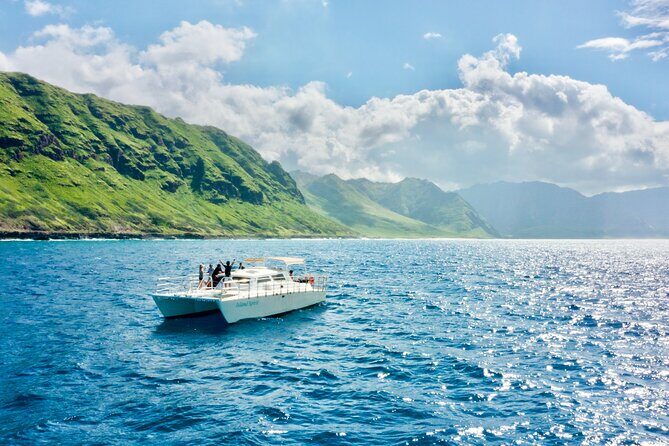 Swim with Dolphins on the West Coast of Oahu - Who Would Love This Tour?