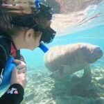 Swim With Manatees-Private Tour with In Water Guide/Photographer - What’s Included in the Experience?