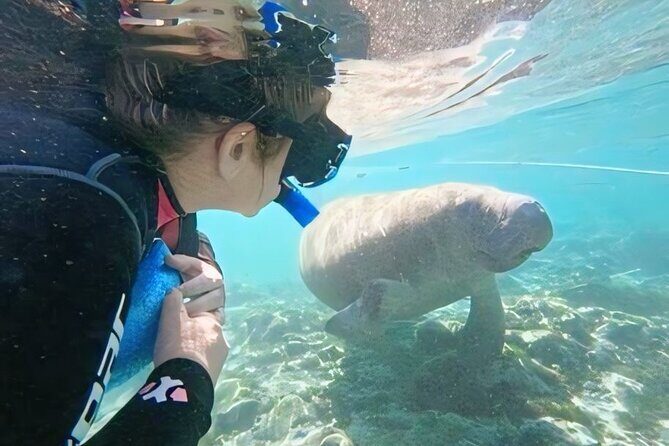 Swim With Manatees-Private Tour with In Water Guide/Photographer - What’s Included in the Experience?