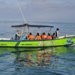 Swim with the Whale Shark on Holbox Island - The Group Size and Booking