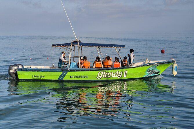 Swim with the Whale Shark on Holbox Island - The Group Size and Booking