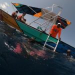 Swim with whale sharks on a private tour - What You Need to Know About the Tour