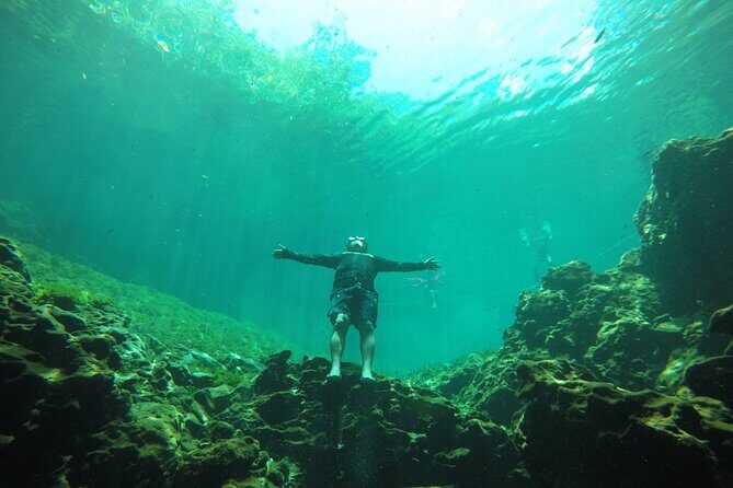 Swimming with turtles, 2 cenotes & gopro - Exploring Cenote Xunaan Ha — Crystal Waters and Jumping Platforms