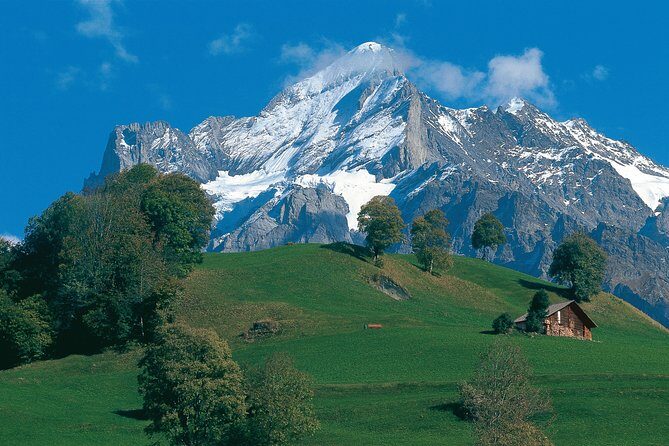 Swiss Alps: Interlaken and Grindelwald Day Trip from Zurich - What’s Included and What’s Not