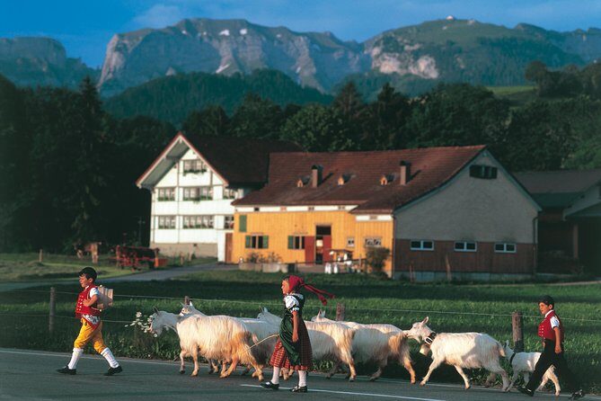 Swiss Cheese, Chocolates and Mountains Small-Group Tour from Zurich - Practical Details and What to Expect