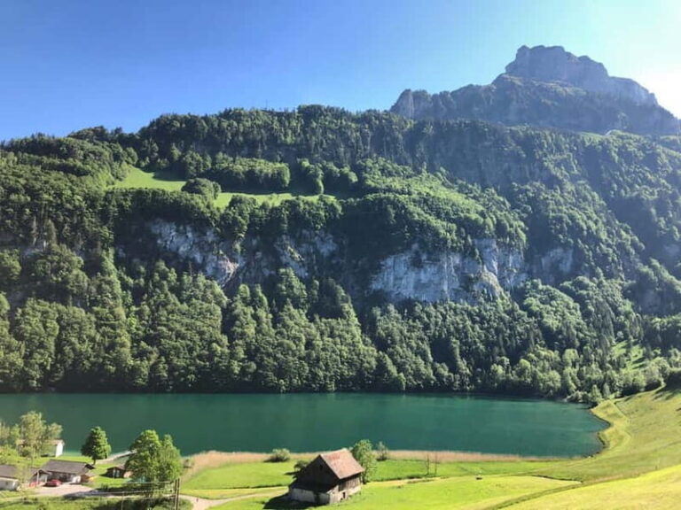 Swiss Highlights: Guided Zürich, Lucerne and Basel tour - Transportation and logistics