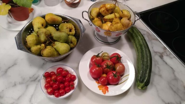 Switzerland: Dining Experience at a Local's Home - FAQ