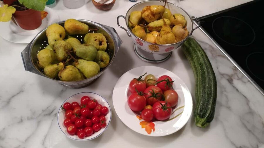 Switzerland: Dining Experience at a Local's Home - FAQ