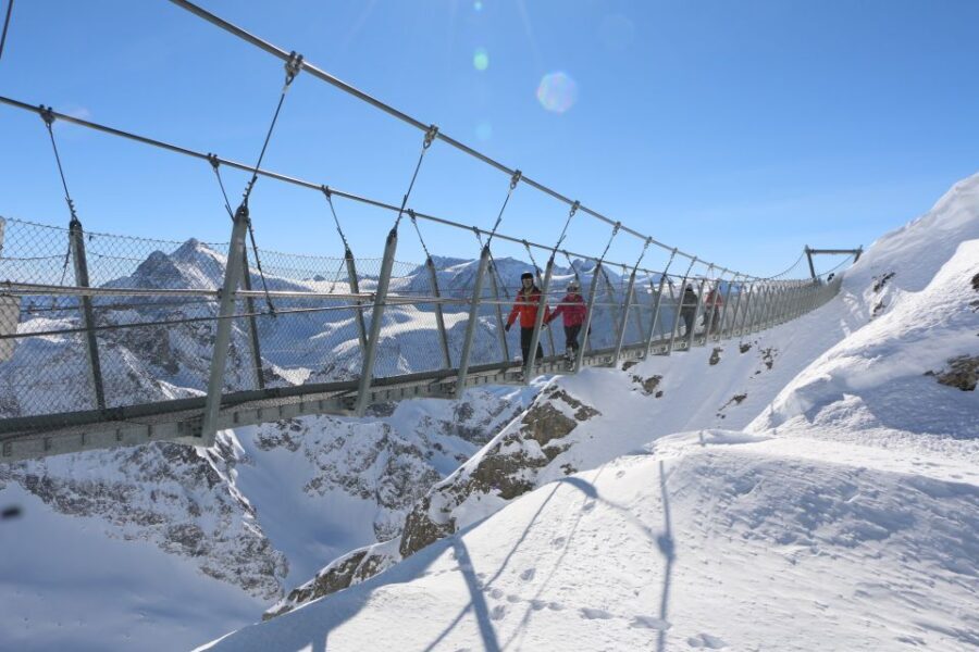 Switzerland: Private Day Tour by car with unlimited km - Who Is This Tour Best Suited For?