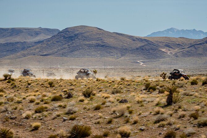 SXS Tour W/ A Stop at Pioneer Saloon Goodsprings in Las Vegas - Authentic Experiences and Real Traveler Feedback