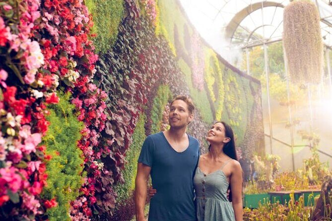 Sydney Private Tour - Pick up & Drop off - How Price Reflects Value