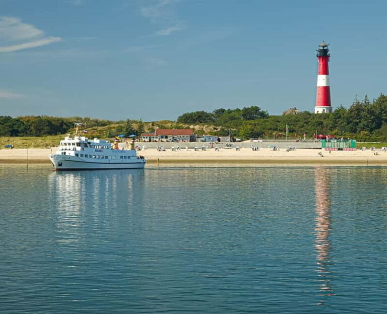 Sylt: Boat tour - afternoon cruise | coffee & cake available - What to Expect from Your Sylt Boat Tour