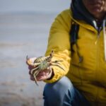 Sylt: Guided Mudflat Hike on the Island - What Does the Tour Include?