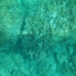 Syracuse: Coast and Sea Caves Full Transparent Boat Tour - What You Can Expect During the Tour