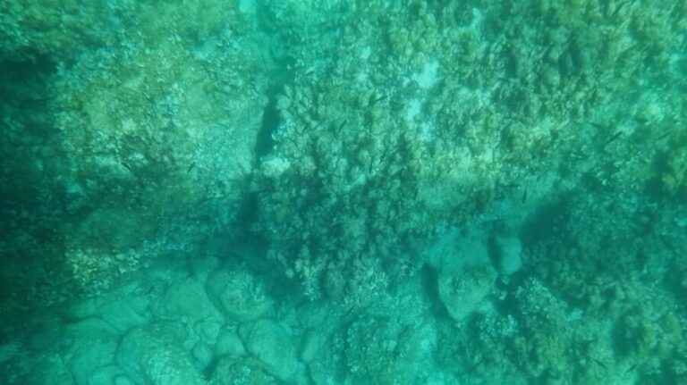 Syracuse: Coast and Sea Caves Full Transparent Boat Tour - What You Can Expect During the Tour