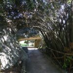 Syracuse: Neapolis Archaeological Park Small Group Tour - Who is This Tour Best Suited For?