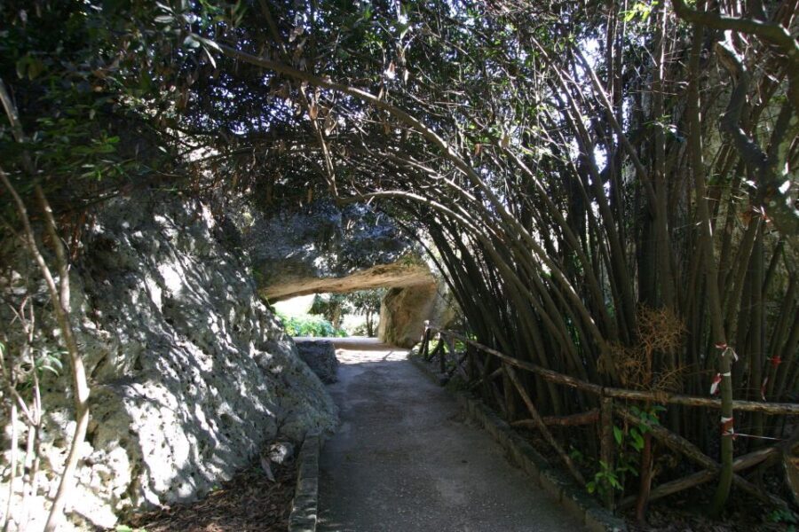 Syracuse: Neapolis Archaeological Park Small Group Tour - Who is This Tour Best Suited For?