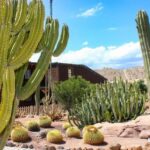 Tabernas: MiniHollywood Oasys Entry Ticket & Optional Buffet - The Real Experience: What Visitors Say