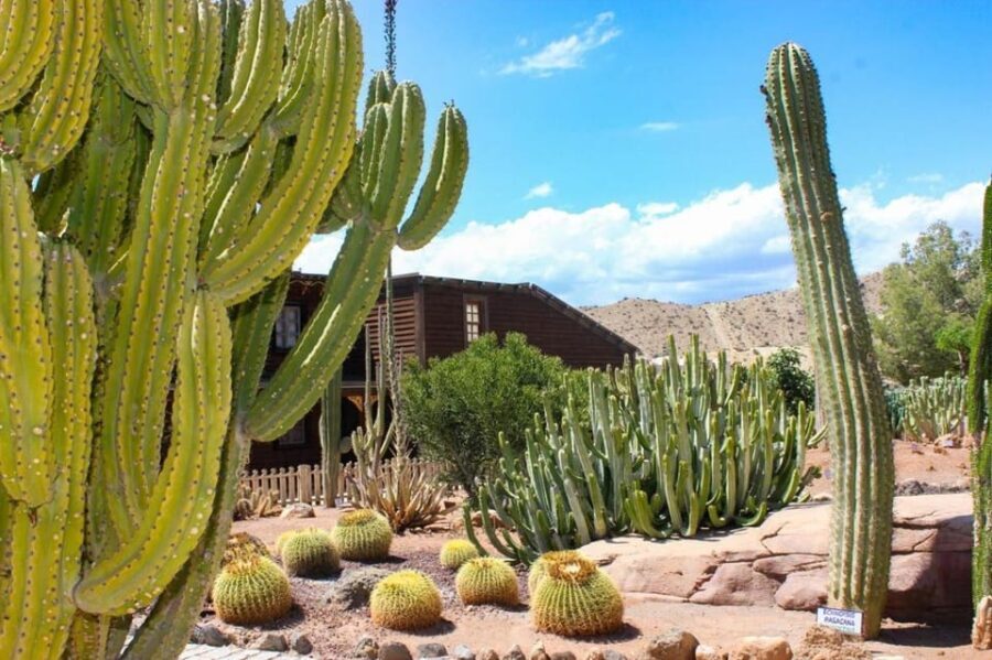 Tabernas: MiniHollywood Oasys Entry Ticket & Optional Buffet - The Real Experience: What Visitors Say