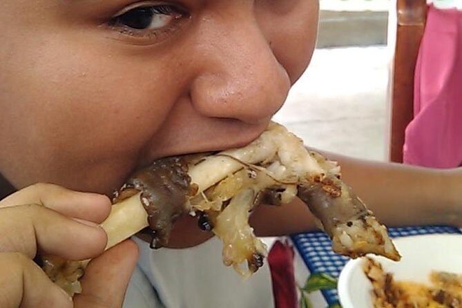 Taco Tour - Who Should Consider This Tour?