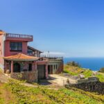 Tacoronte: Guided Winery Tour with Wine and Cheese Tastings - What the Tour Includes and What It Doesn’t