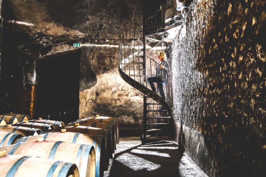 Taillan-Médoc: Château Visit and Wine Tasting in Bordeaux - Real Traveler Feedback