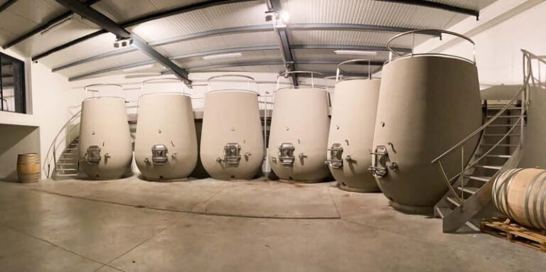 Tain l'Hermitage: Visit two wine estates and a Wine & Food Workshop - Who will love this tour?