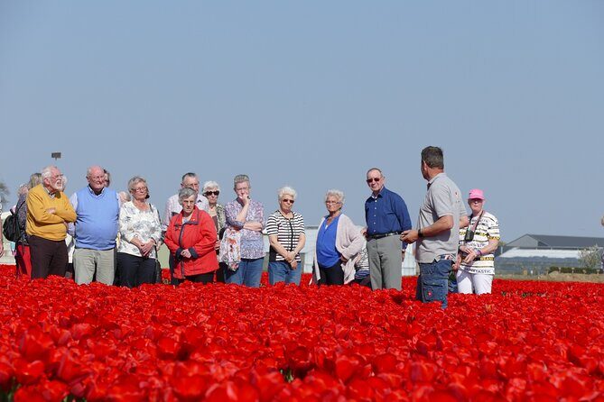 Taking Pictures in the Tulip Field at De Tulperij - The Sum Up