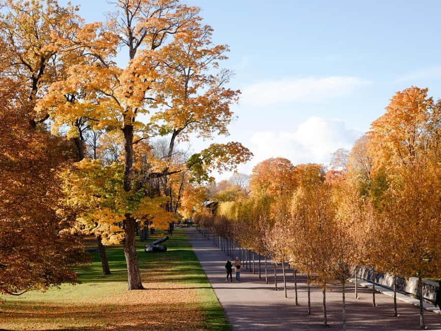 Tallinn: 3-hour tram and walking combo tour - What’s Great About It