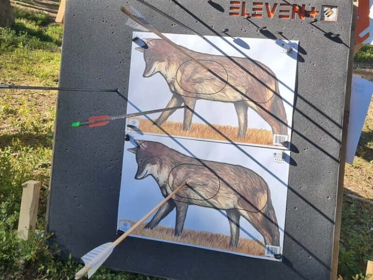 Tallinn: Beginner Archery Class with Transfer - Learning the Basics of Archery