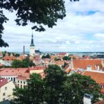 Tallinn: Day Tour from Helsinki with Hotel Pickup - Why This Tour Offers Value