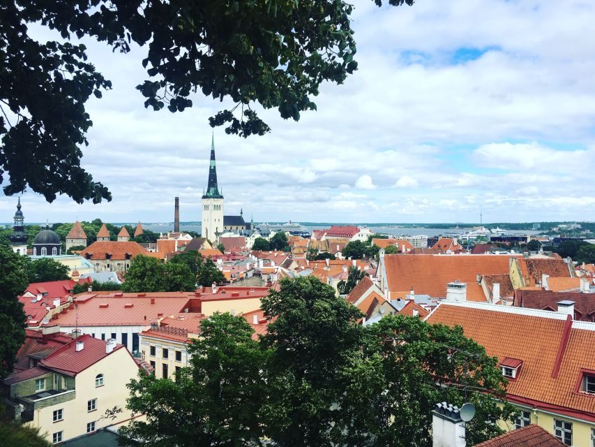 Tallinn: Day Tour from Helsinki with Hotel Pickup - Why This Tour Offers Value