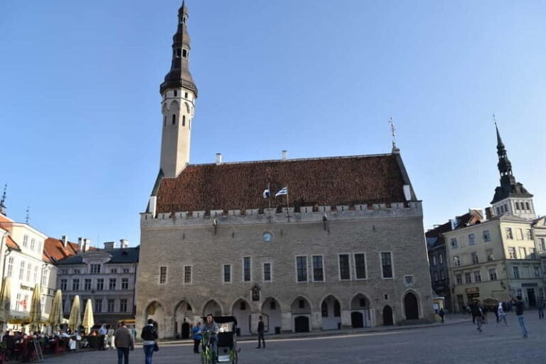 Tallinn: Half-Day City Tour - The Experience of the Tour