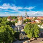 Tallinn Highlights and Marzipan Painting Masterclass - Real Traveler Insights