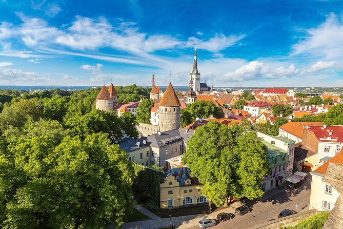 Tallinn Highlights and Marzipan Painting Masterclass - Real Traveler Insights