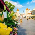 Tallinn Old Town: Stories and Views 2Hour Walking Tour - The Experience and Practicalities