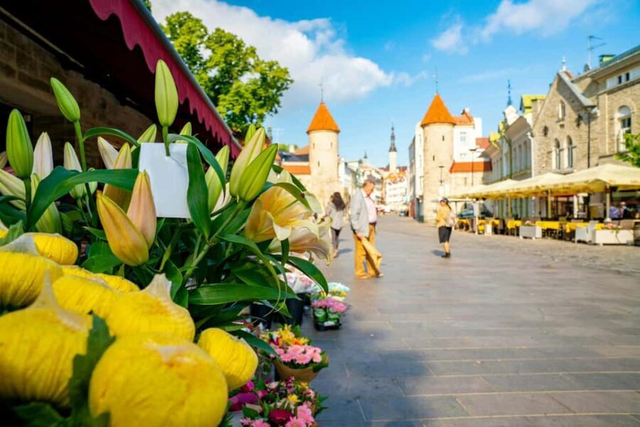 Tallinn Old Town: Stories and Views 2Hour Walking Tour - The Experience and Practicalities
