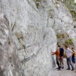 Tallinn-Riga Sightseeing Tour Bus - Who is this tour best suited for?