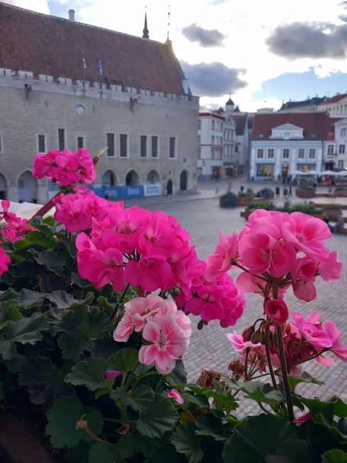 Tallinn Town Hall with a guide - Who Will Appreciate This Tour?