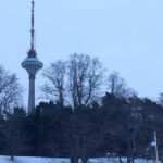 Tallinn TV tower and Botanic garden (a tour with a guide) - In-Depth Look: The Experience