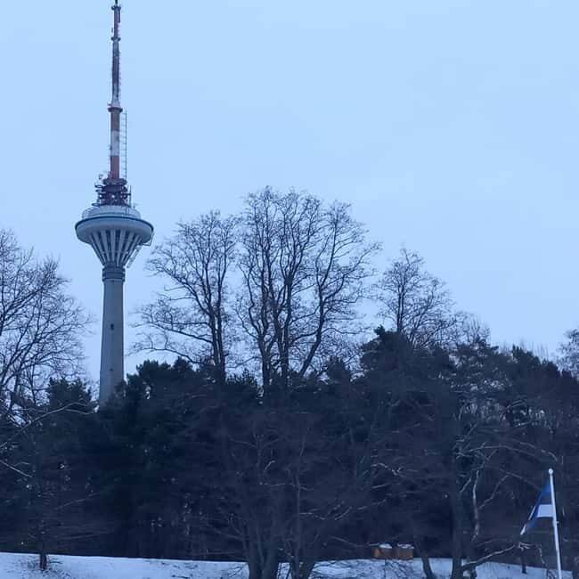 Tallinn TV tower and Botanic garden (a tour with a guide) - In-Depth Look: The Experience