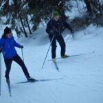 Tampere: Classic Ski Technique Lesson in Kauppi - What the Experience Looks Like Step-by-Step