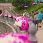 Tampere: Food Tour with Tastings, Meal, & Rooftop City Views - What To Expect Throughout the Tour