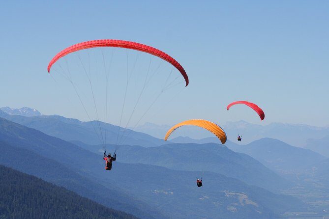 Tandem Paragliding Flight over Tenerife - The Experience: Pros and Cons Based on Reviews