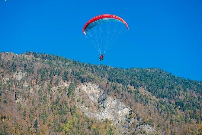 Tandem Paragliding in Alanya - The Experience at a Glance: Pros and Cons