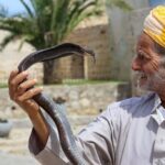 Tangier Private Half-Day Tour + Camel Ride + Add-on: Lunch - The Value and Who This Tour Is Best For