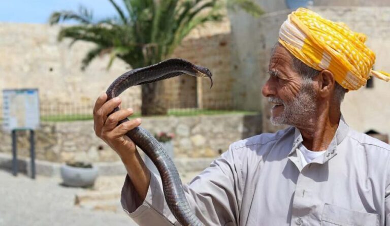 Tangier Private Half-Day Tour + Camel Ride + Add-on: Lunch - The Value and Who This Tour Is Best For