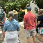 Tangier private luxury tour from Tarifa All inclusive - What Past Travelers Say