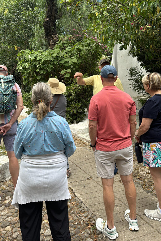 Tangier private luxury tour from Tarifa All inclusive - What Past Travelers Say